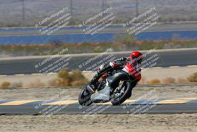 media/Apr-10-2022-SoCal Trackdays (Sun) [[f104b12566]]/Turn 14 (10am)/